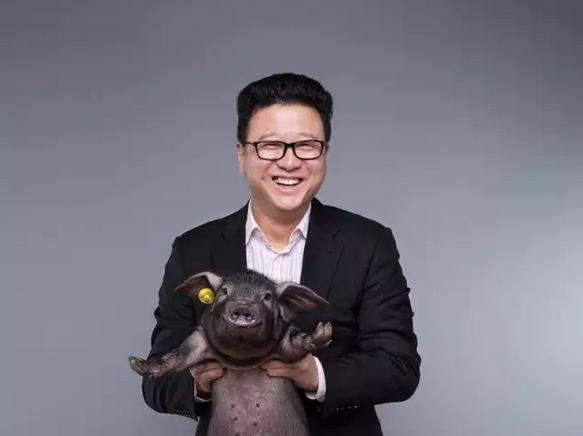 丁磊养猪告捷案例,丁磊养猪的创业思维