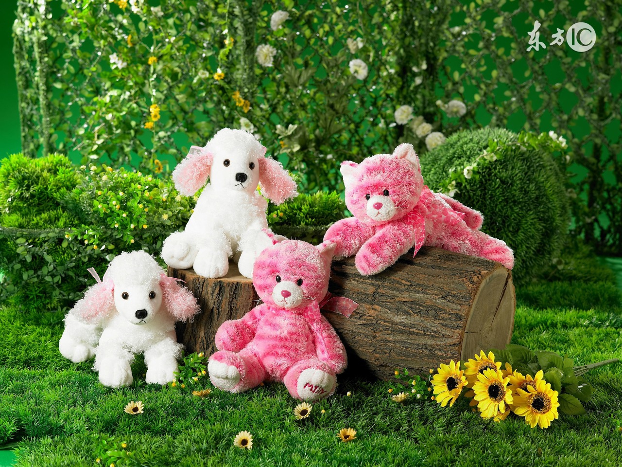 生肖狗的人怎么挡烂桃花,生肖狗桃花星