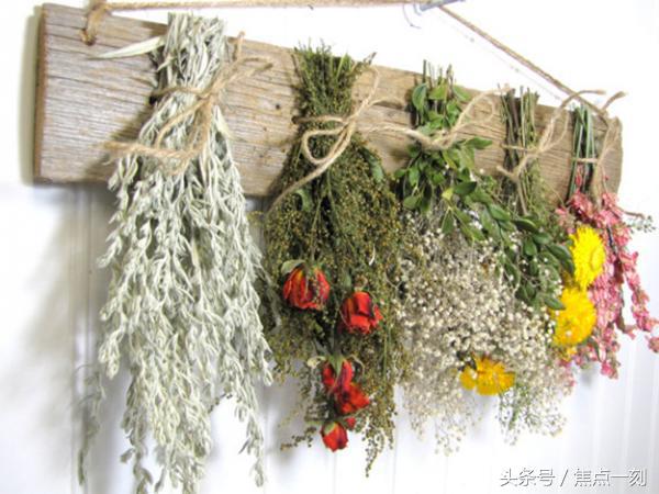 干花怎么样才会制作告捷,干花的制作方法有哪些步骤