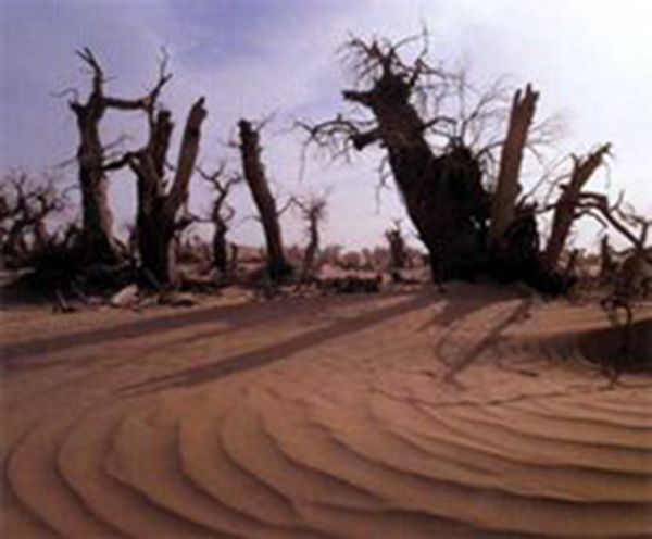 充满回忆的景点,只能在回忆里完全