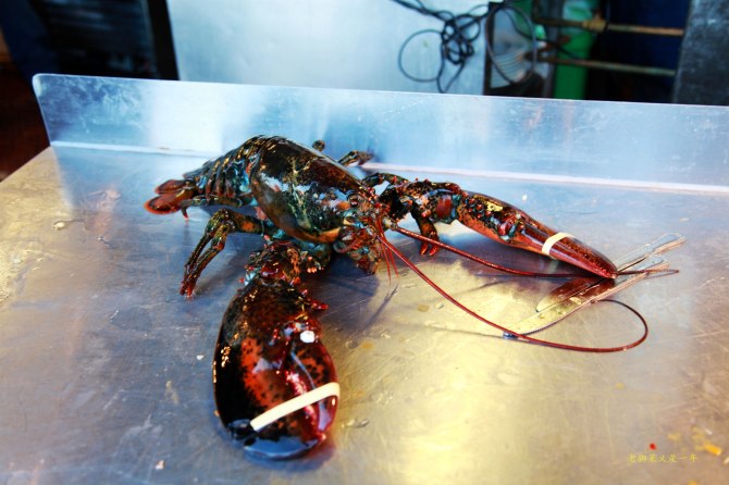 心在路上中文版,心在路上完全版教程