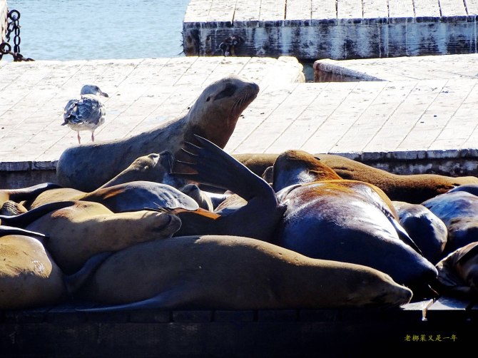 心在路上中文版,心在路上完全版教程