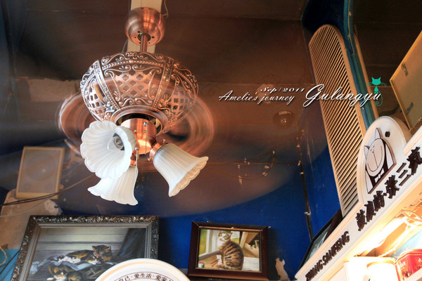 鼓浪屿完全攻略 (鼓浪屿详细攻略大全)