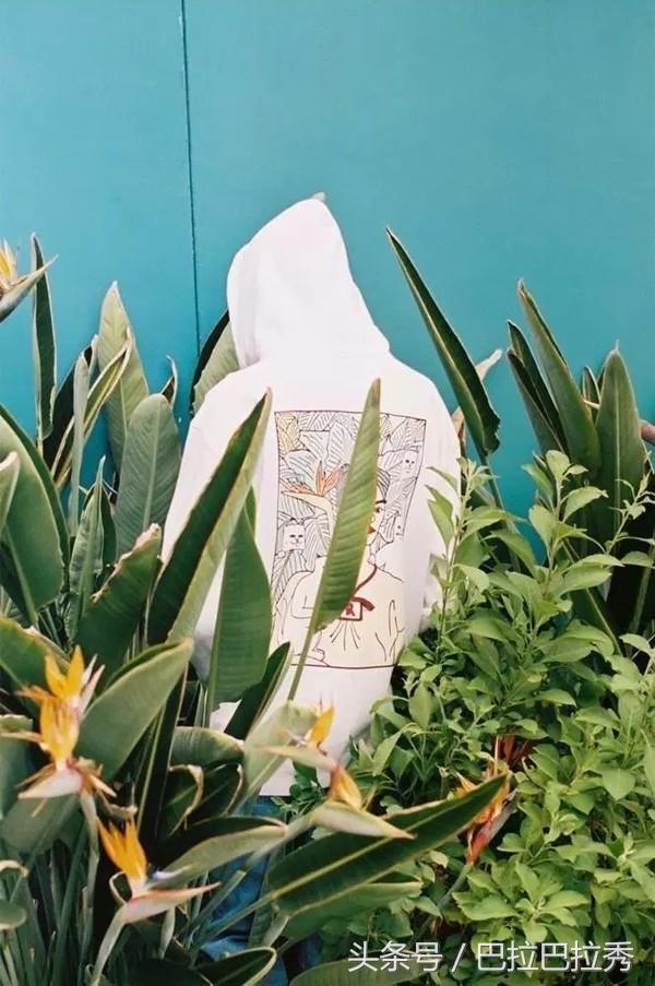 潮牌最强王者，不要再怂了！不如让这只贱猫帮你出头！