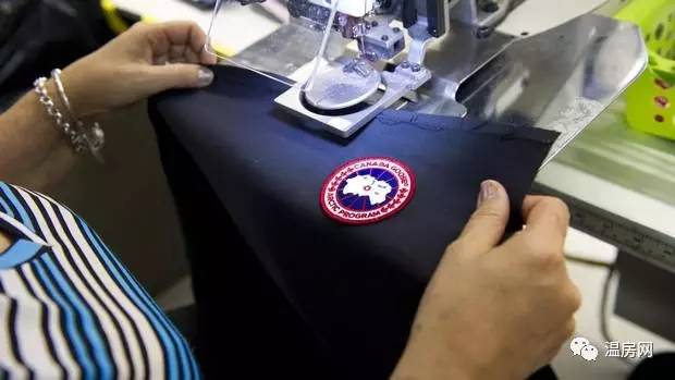 始祖鸟和加拿大鹅羽绒服哪个好,始祖鸟加拿大鹅