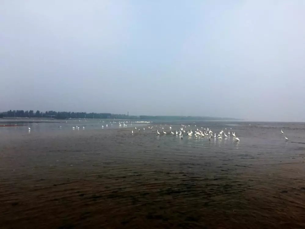 北戴河海滩有哪些好玩的,北戴河浴场沙滩哪个好