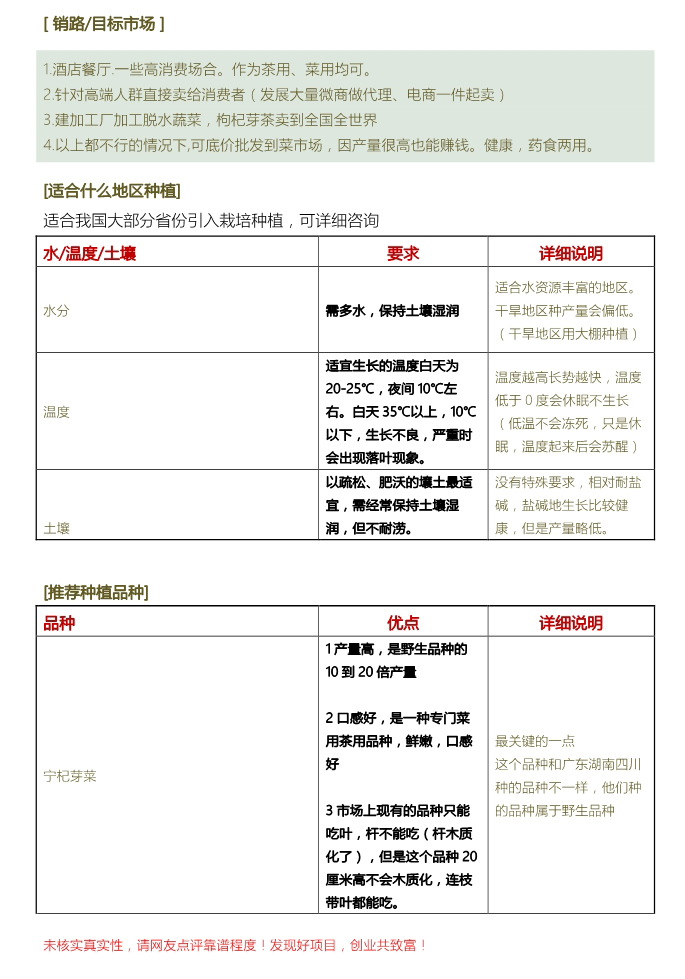 干枸杞芽菜多少钱一斤,枸杞芽菜前景如何