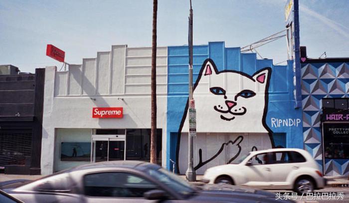 潮牌最强王者，不要再怂了！不如让这只贱猫帮你出头！