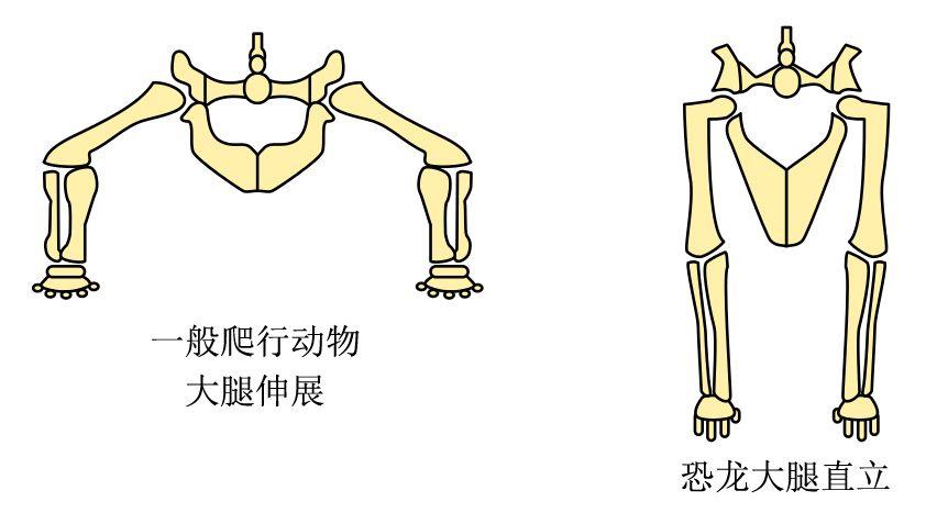 恐龙分类大洗牌，麻雀角龙一家亲丨玉米熊放学小报No.220