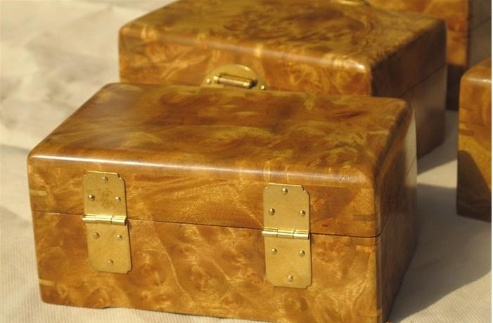 楠木家具金丝楠,金丝楠的楠木苗