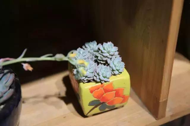 宜昌居然还有这样“见不得人”的花花世界？