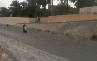 一个细节做好的盲僧到底有多强,细节最好的盲僧到底有多强