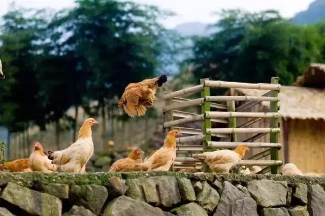 发现上海，发现美食：最全魔都美食地图！