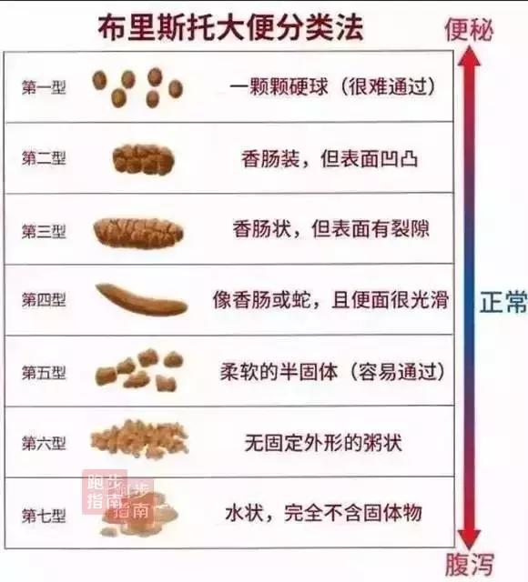 晨跑夜跑哪个更瘦身,晨跑还是夜跑更有利于锻炼身体