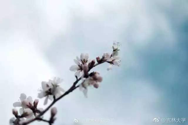 林志玲360无死角是真的美,全球最美360无死角的美女