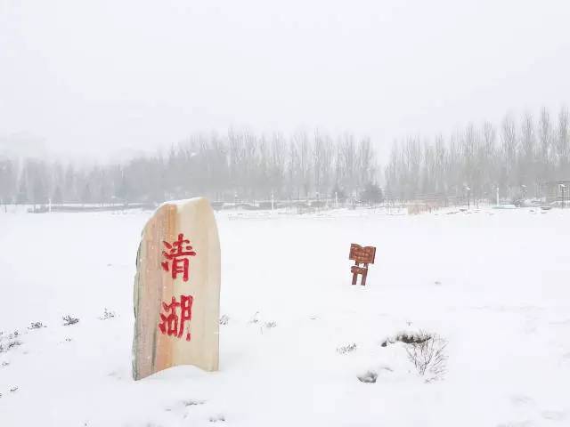 林志玲360无死角是真的美,全球最美360无死角的美女