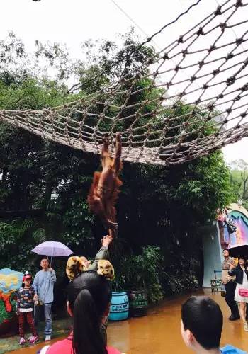 番禺长隆野生动物园2天1晚攻略,番禺长隆野生动物园旅游路线