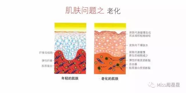 行家来告诉你美容仪真的管用吗,美容仪真的有用吗运用了哪些原理