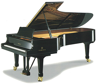 一些很奇葩的公司,特别奇葩的公司大全