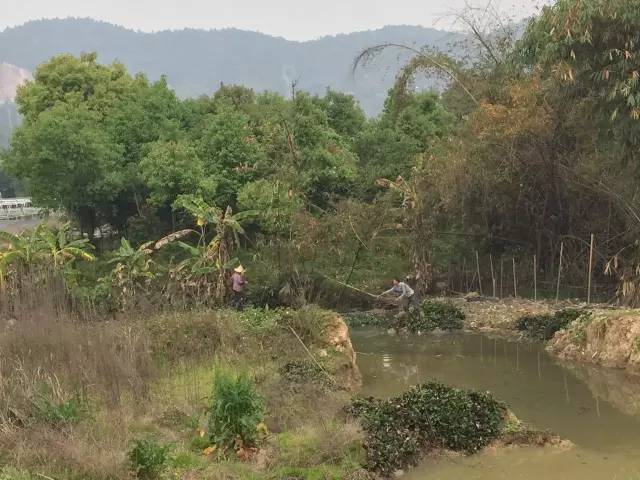 「区县头条」福清：未来五年，福清将有这么多变化，你期待吗？