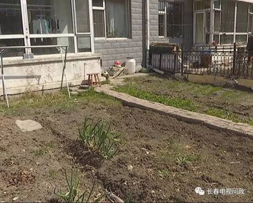 长春好景山庄小区、净月新园小区居民圈地种蔬菜最多将被罚三万