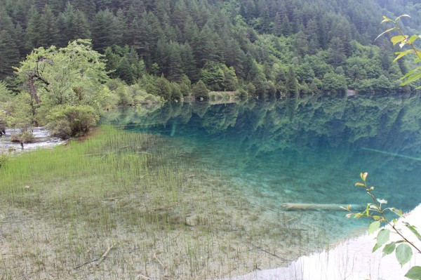 若尔盖红原九寨沟六日游,九寨沟黄龙若尔盖大草原自助游