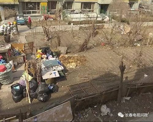 长春好景山庄小区、净月新园小区居民圈地种蔬菜最多将被罚三万
