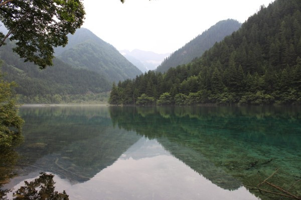 若尔盖红原九寨沟六日游,九寨沟黄龙若尔盖大草原自助游