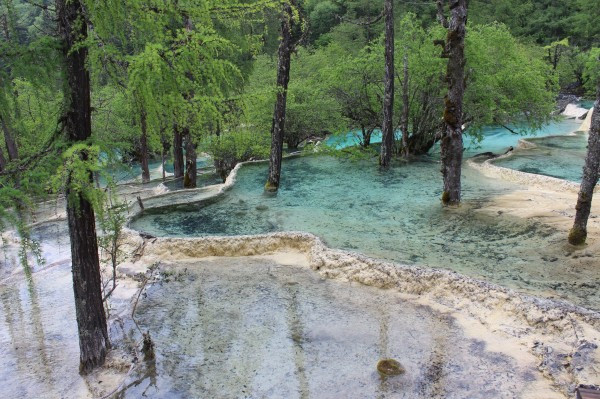 若尔盖红原九寨沟六日游,九寨沟黄龙若尔盖大草原自助游