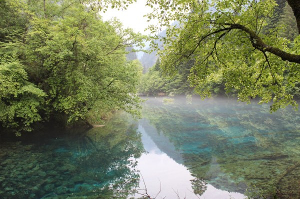 若尔盖红原九寨沟六日游,九寨沟黄龙若尔盖大草原自助游