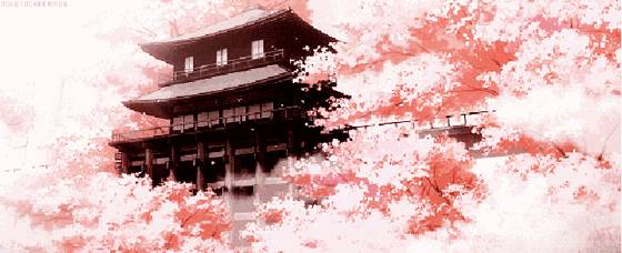 最美樱花限定单品,限量款樱花