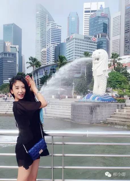 春节旅游去新加坡,新加坡旅游团春节