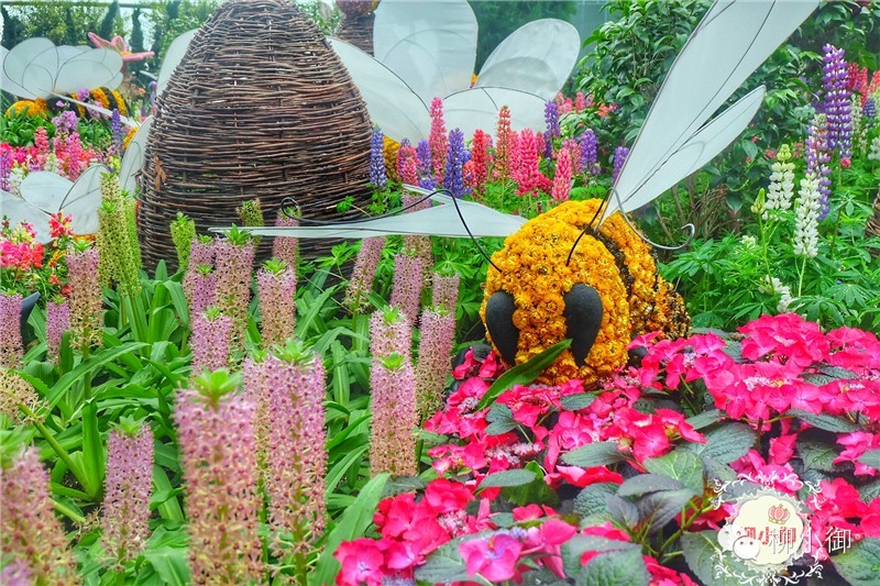 春节旅游去新加坡,新加坡旅游团春节