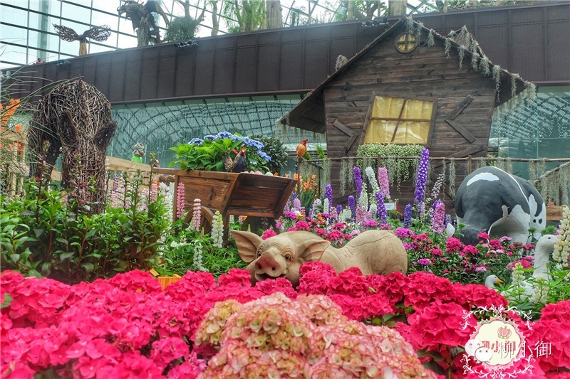 春节旅游去新加坡,新加坡旅游团春节