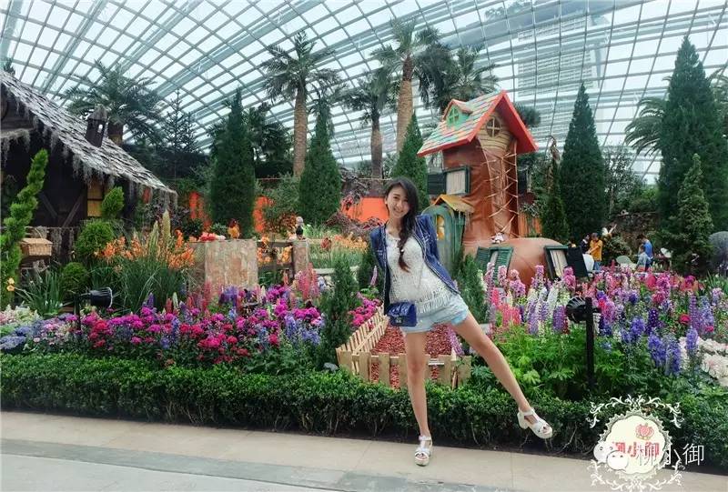 春节旅游去新加坡,新加坡旅游团春节