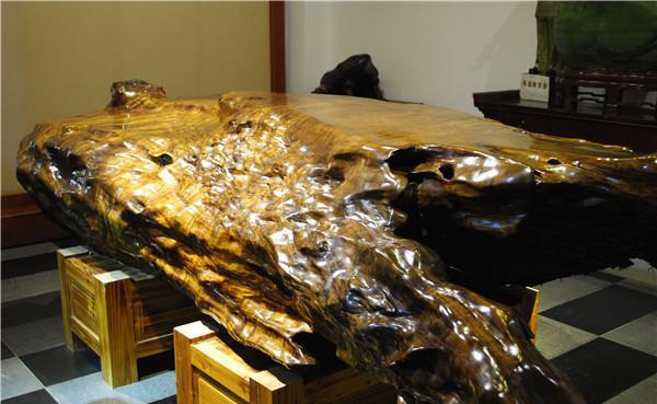 楠木家具金丝楠,金丝楠的楠木苗