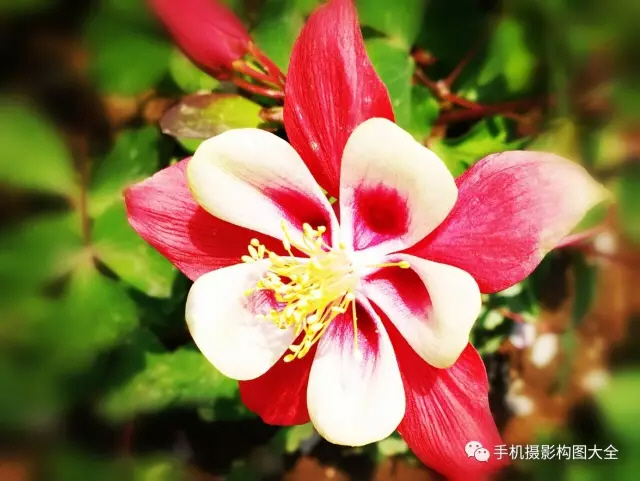 你一定要知道的夜景拍摄教程,怎样拍夜景才能人像清晰背景明亮