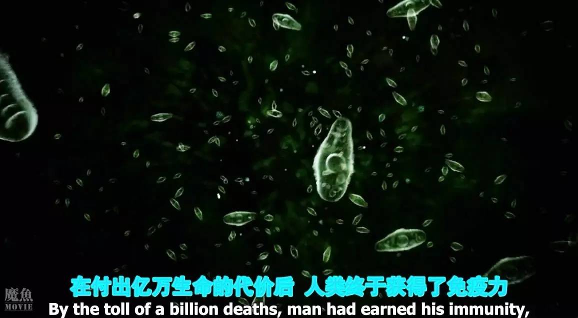 经典的外星人入侵科幻片,外星人入侵地球的科幻片有哪些