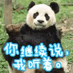 荷兰迎接中国大熊猫,大熊猫在国外有警车开道