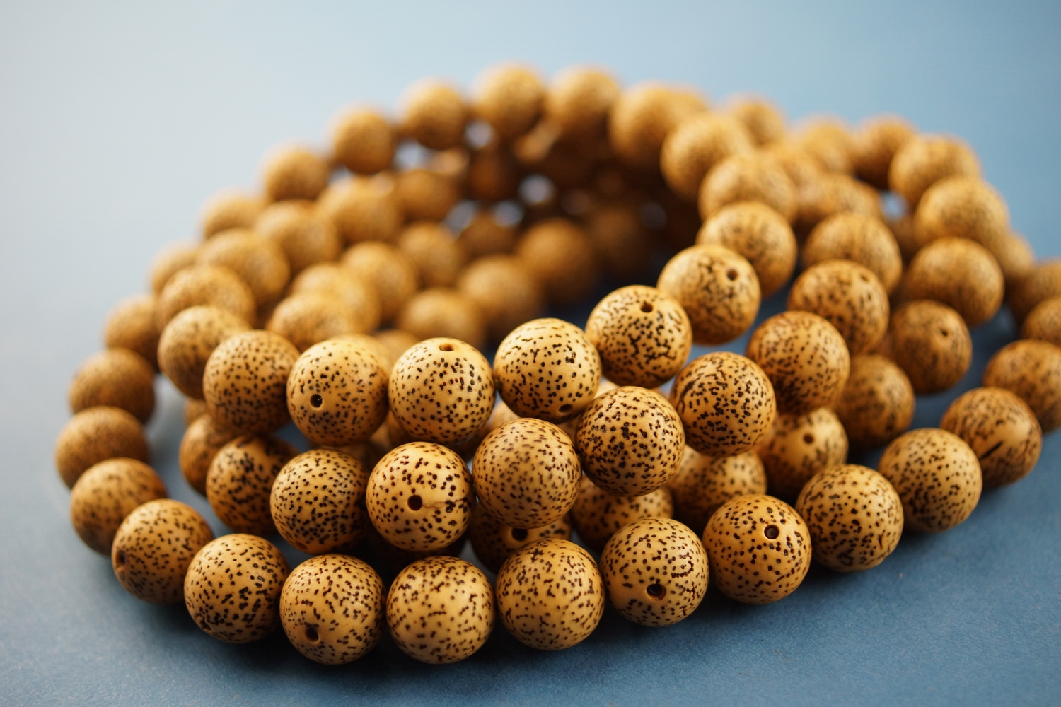 怎么选择属于自己的菩提,怎么选择合适自己的菩提