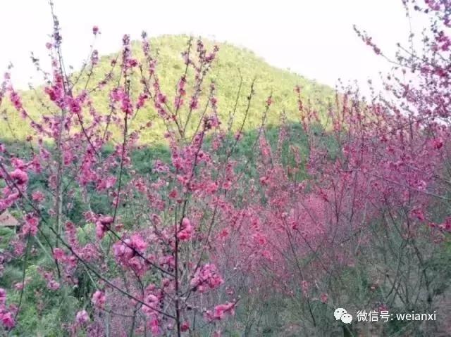 安溪最好看的风景,安溪哪个风景好