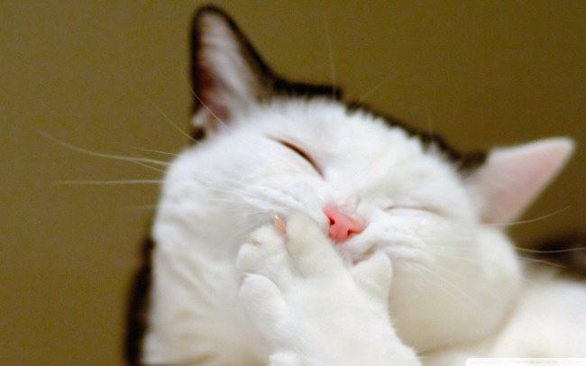 扬州瑜伽教练兼职100块一小时,普拉提教练和瑜伽教练哪个有前景