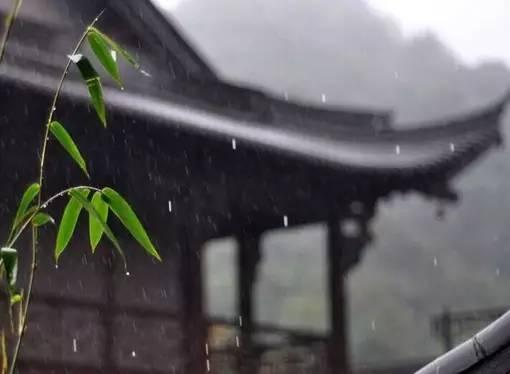 你有冷香丸吗？你还在谷雨过敏吗？