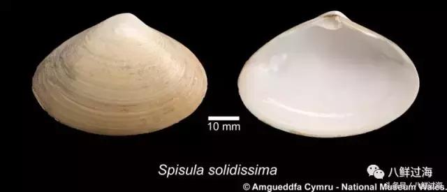 鍖楁瀬璐濋粍閲戣礉,鍔犳嬁澶у寳鏋佽礉鎺ㄨ崘