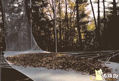 小明和老师的简短笑话15个,小明同学100个经典笑话