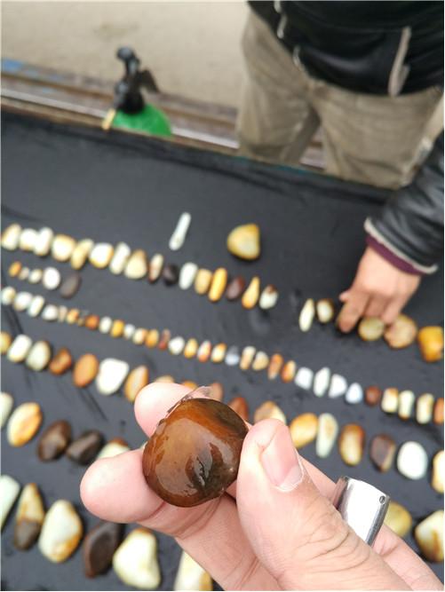 和田玉游记l看过纯羊毛鞋垫吗？喜洋洋美羊羊都有