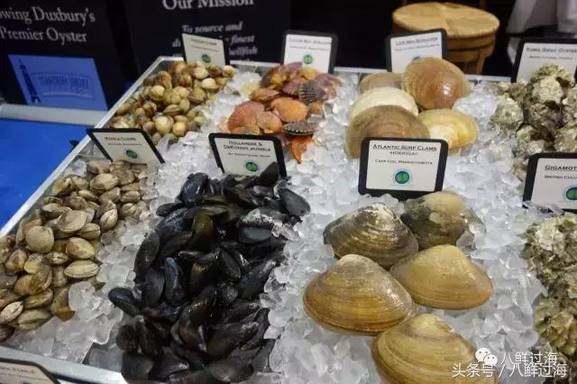 鍖楁瀬璐濋粍閲戣礉,鍔犳嬁澶у寳鏋佽礉鎺ㄨ崘