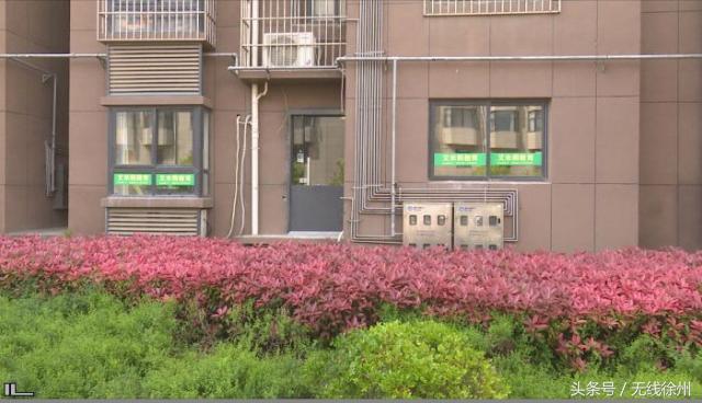 徐州这家教育咨询公司你也太任性了昂