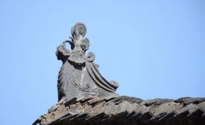 什么动物花心 (世界上最花心的动物是什么)