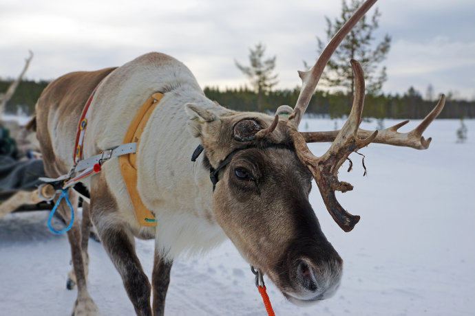 芬兰的奇幻之旅,芬兰旅游攻略